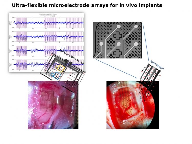 Flexible and Large Area Electronics | Rome UNIT